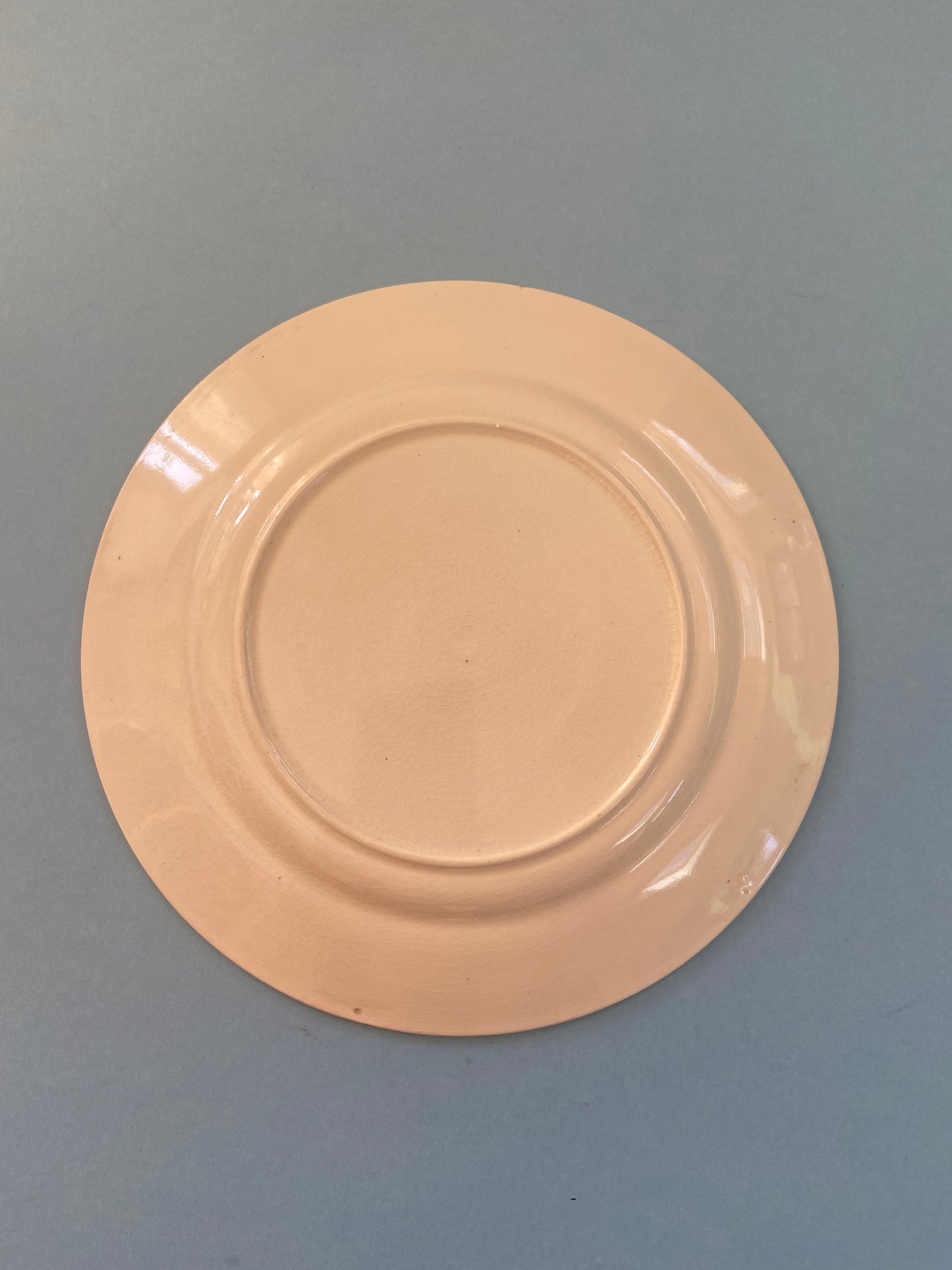 Assiette plate ROSE pâle et dorure