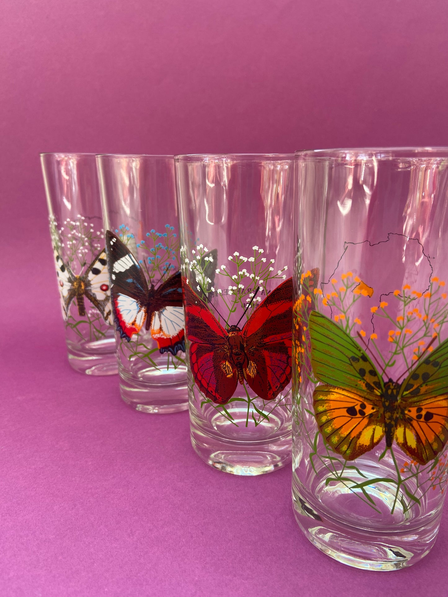 Ensemble de verres hauts PAPILLONS