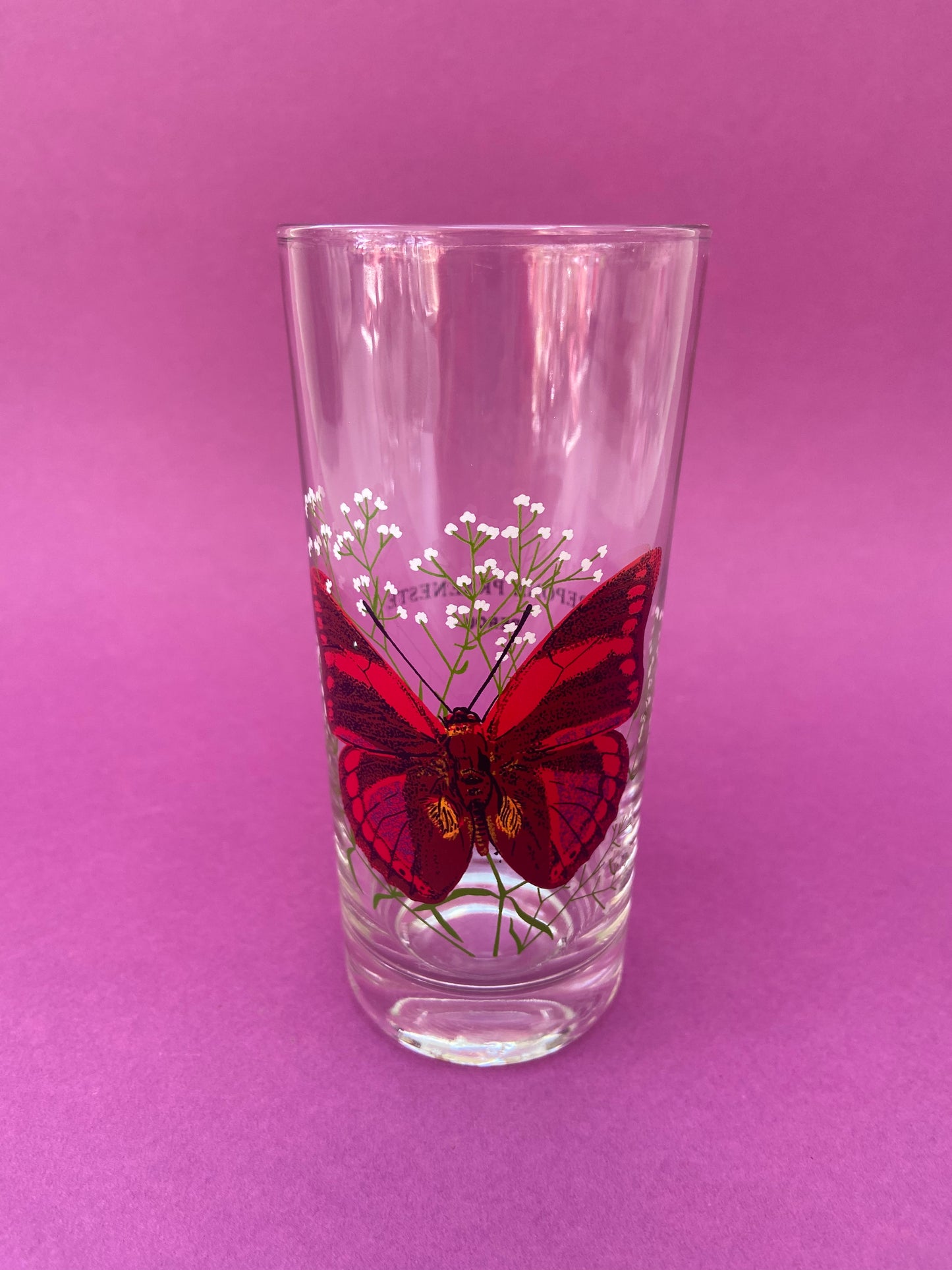 Ensemble de verres hauts PAPILLONS