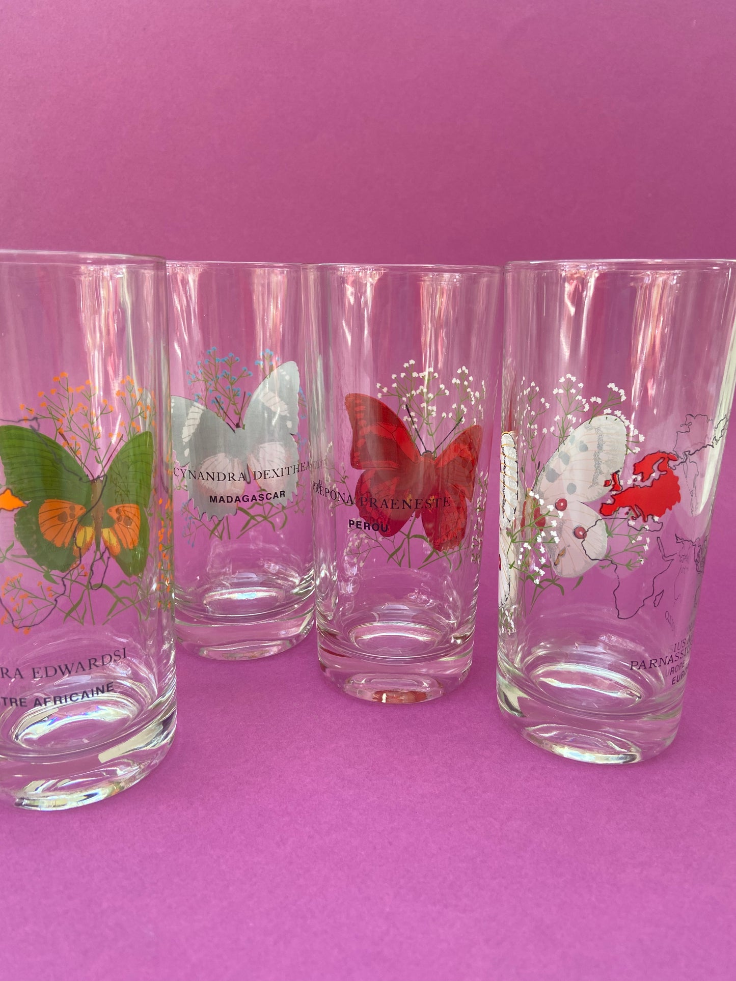 Ensemble de verres hauts PAPILLONS