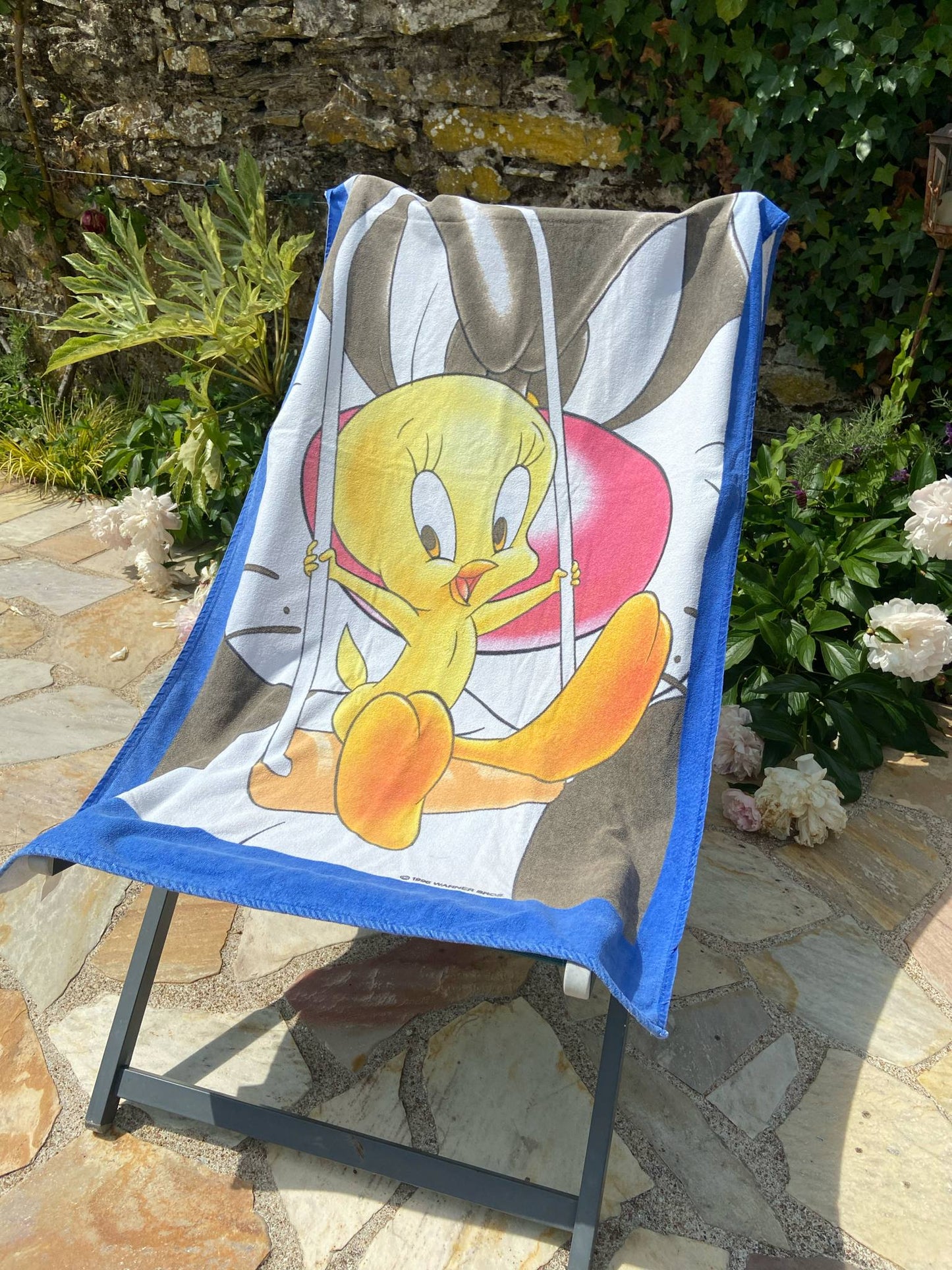 Serviette de plage vintage TITI et GROSMINET
