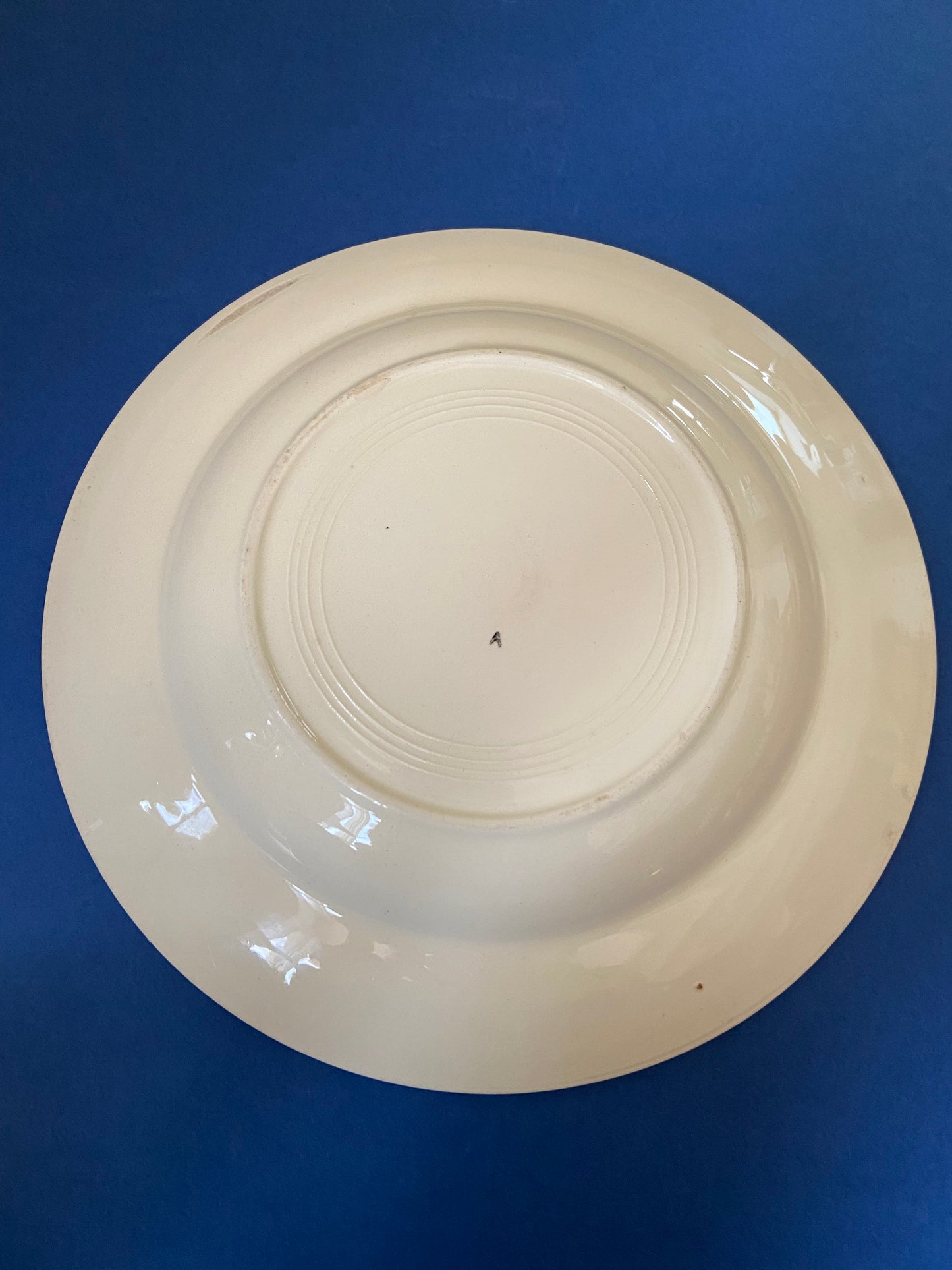 Deep plate SKY BLUE/ORANGE lines