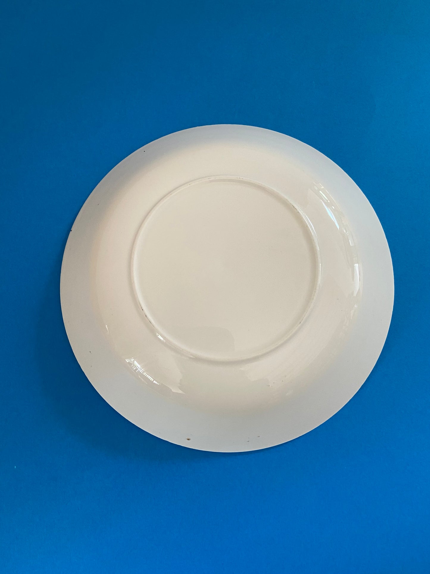 Deep plate with BLUE tones lines